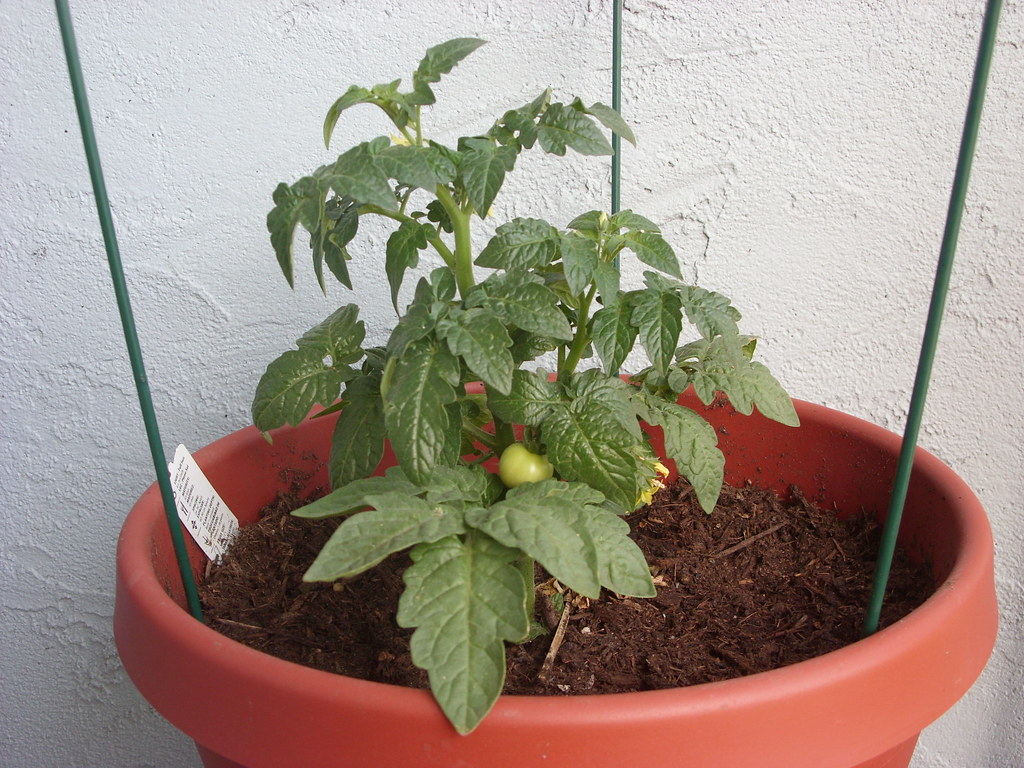 zielony balkon z pionowymi donicami